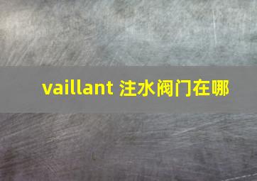 vaillant 注水阀门在哪